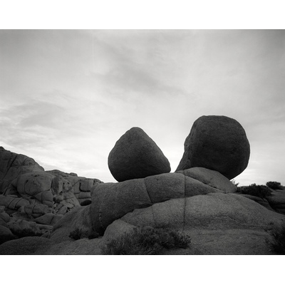 Face to Face, Joshua, California