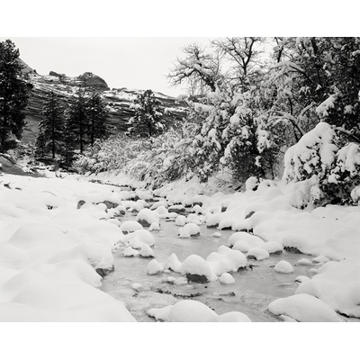 Zion Nat'l Park, Utah