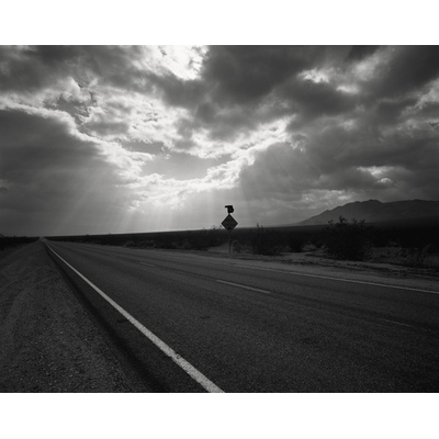 Watch for Tortoises, California